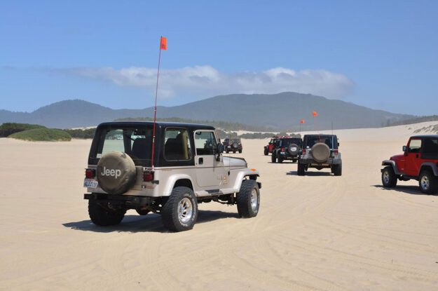 Many jeeps on sand