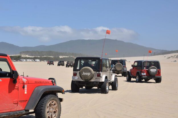 Jeeps in a line on sand