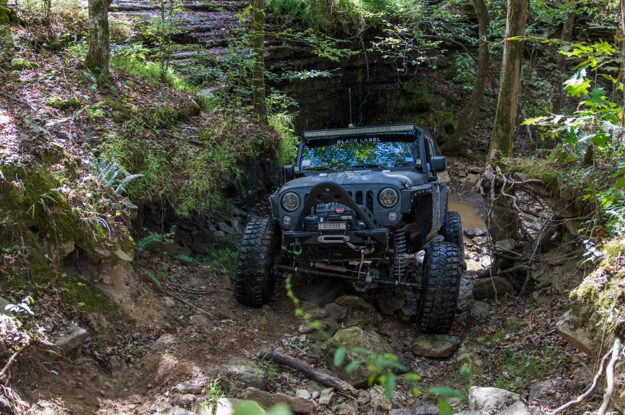jeep and tree roots