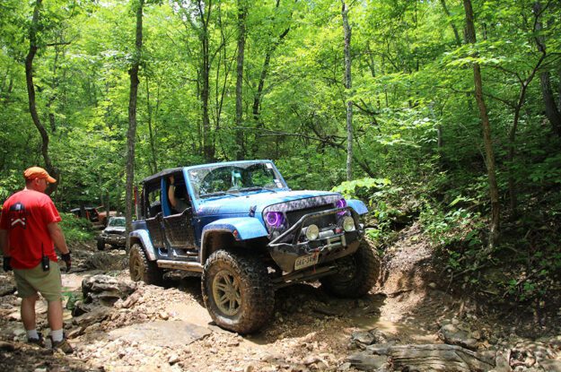 blue jeep in woods