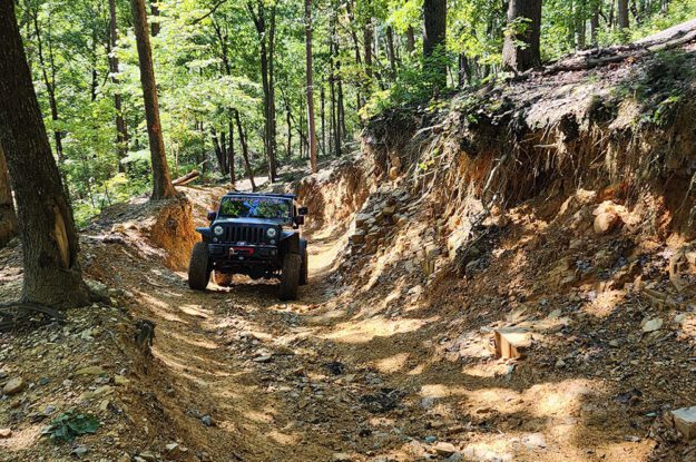 jeep in the forest