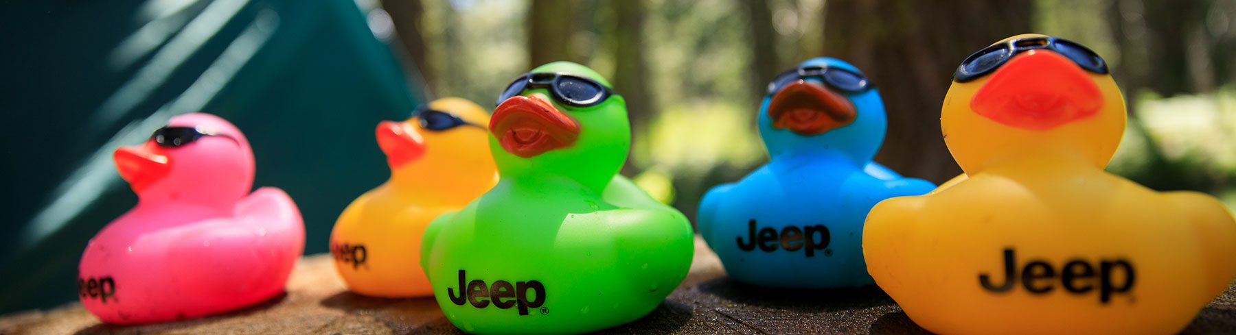 jeep ducks in a row