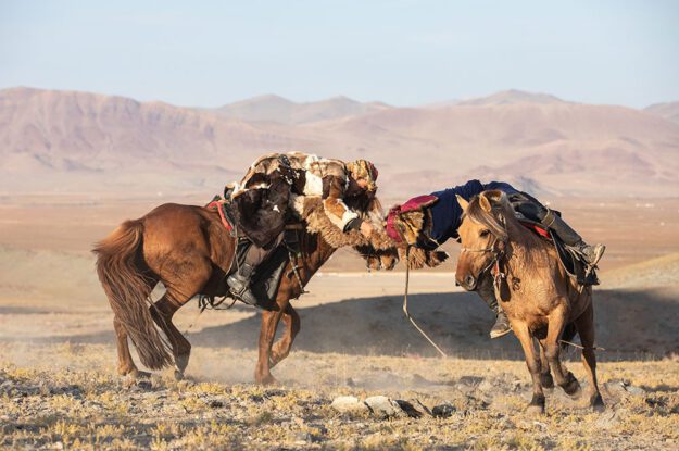 mongolia wrestling on horseback