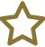 Star Icon